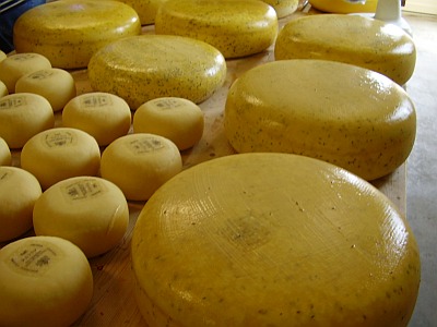 Gouda affinage